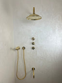 Unlacquered Brass Shower Set Shower Systems detail view 2