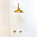Unlacquered Brass Shower System — Round Showerhead & Straight Arm Shower Systems product photo